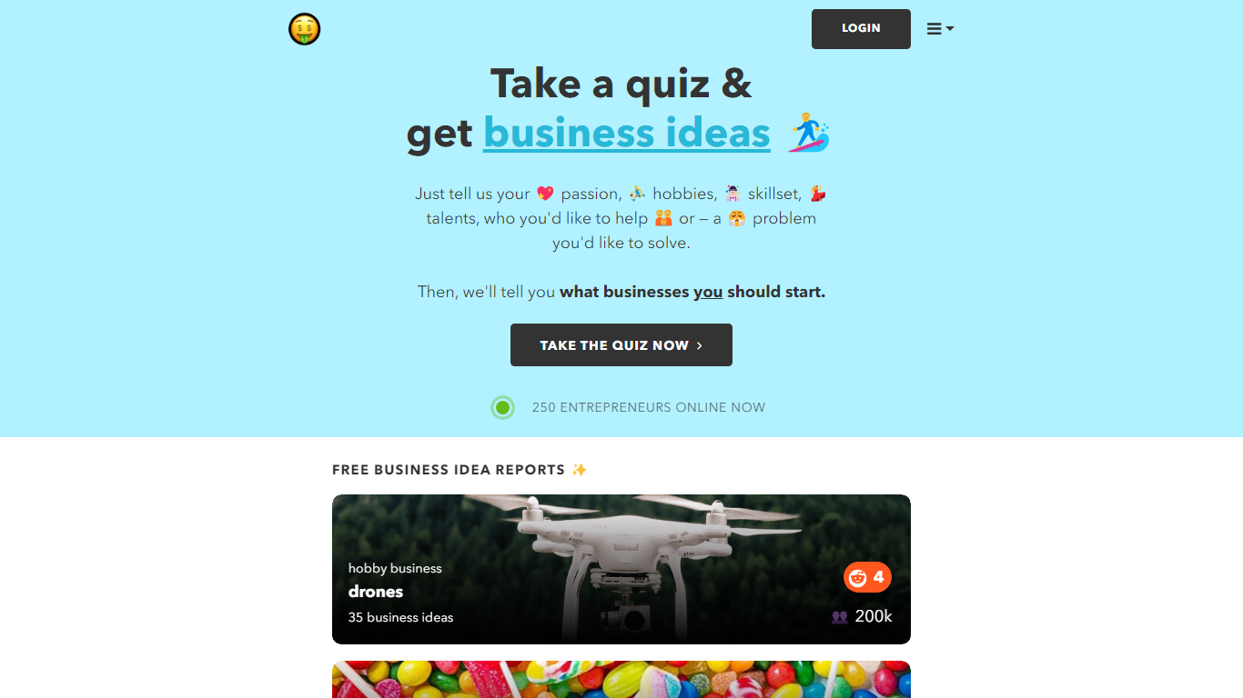 Business Ideas Quiz | nichesss
