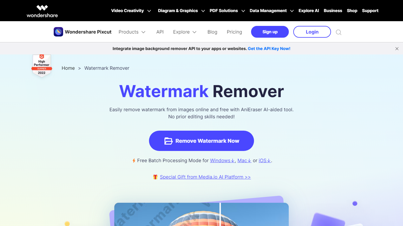 Watermark Remover By Wondorshare